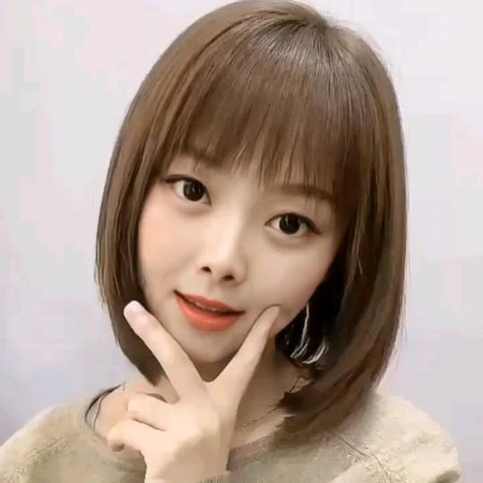 小燕子