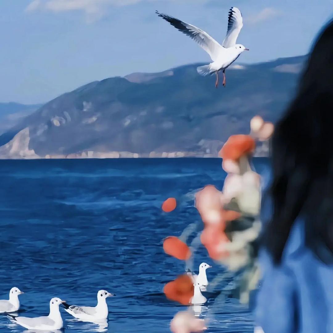 ٩(͡๏̯͡๏)۶旖贰