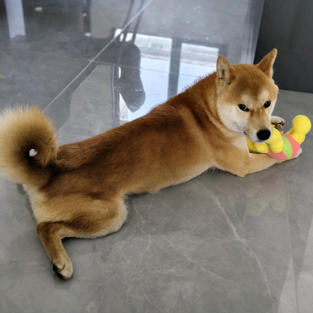 繁花如三千东流水