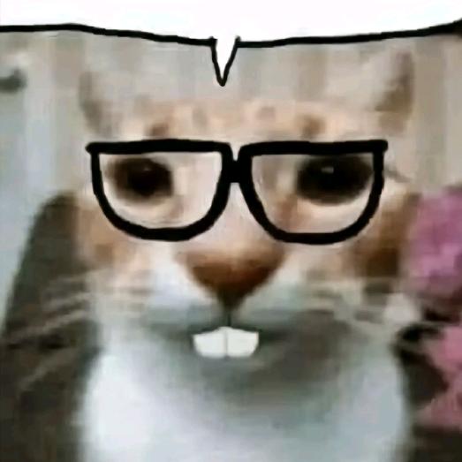 ᶻz ₍^_   ̫ _^₎