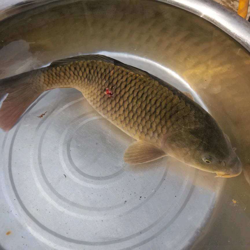 南哥会好起来的