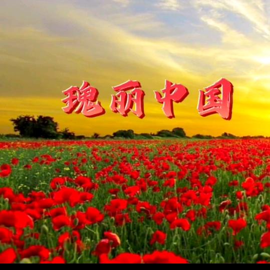 瑰丽中国