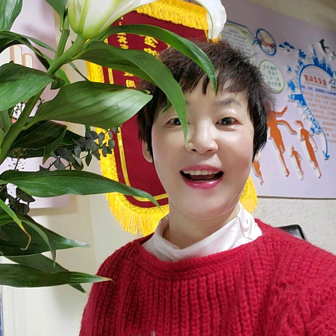 兰花草