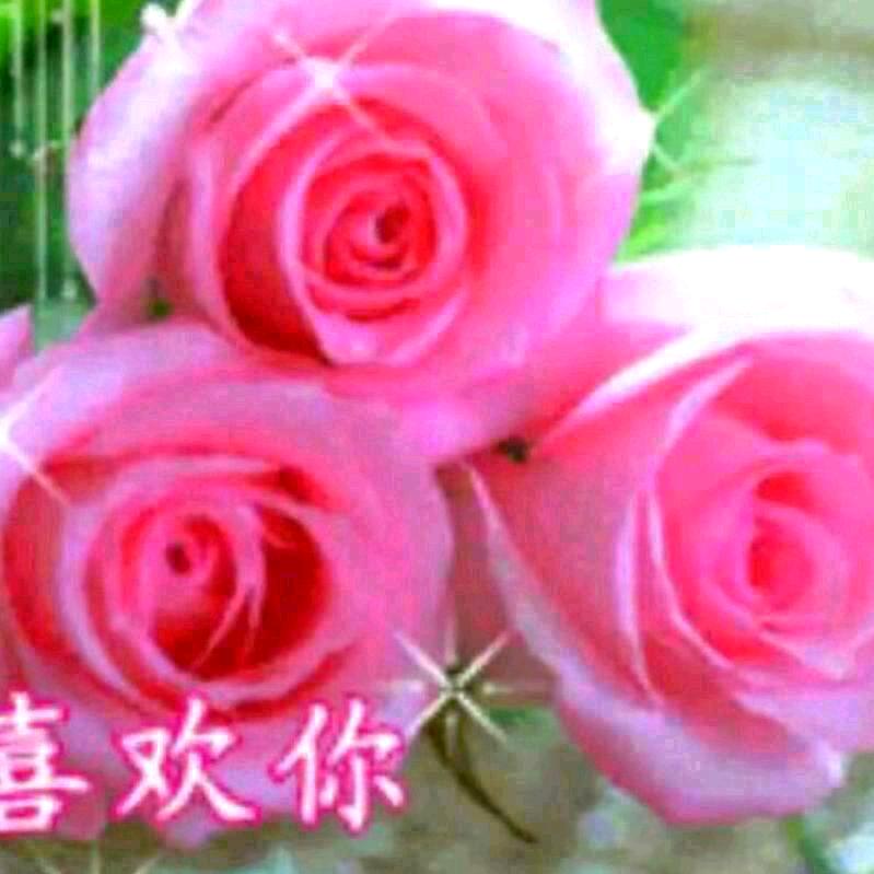 紫色🍎👨‍❤️‍👨风铃