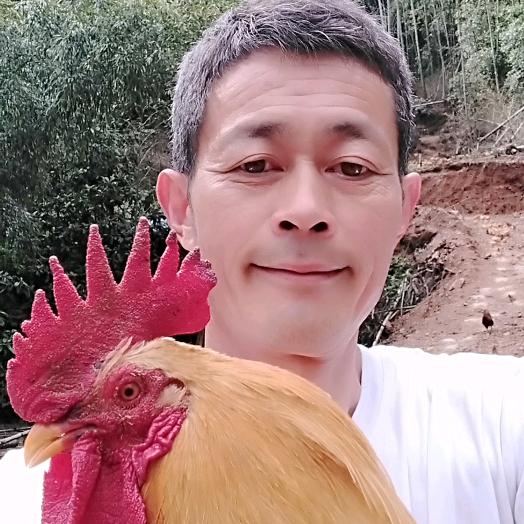 余路明（鸡司令）