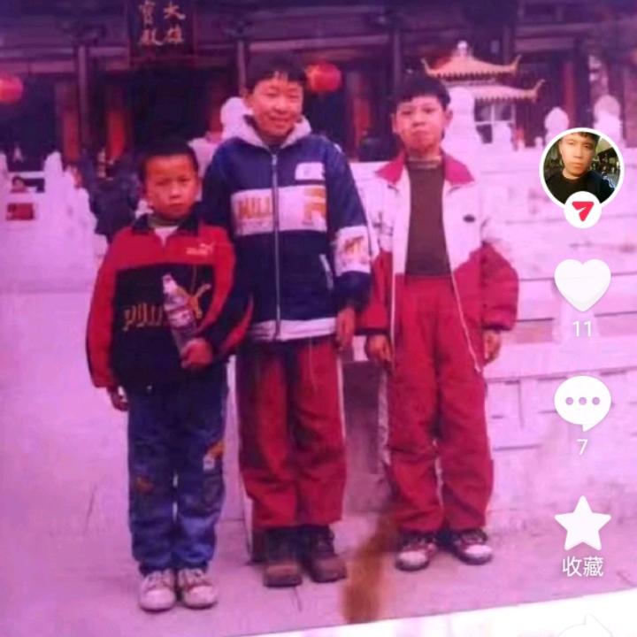 (努力版)…森～