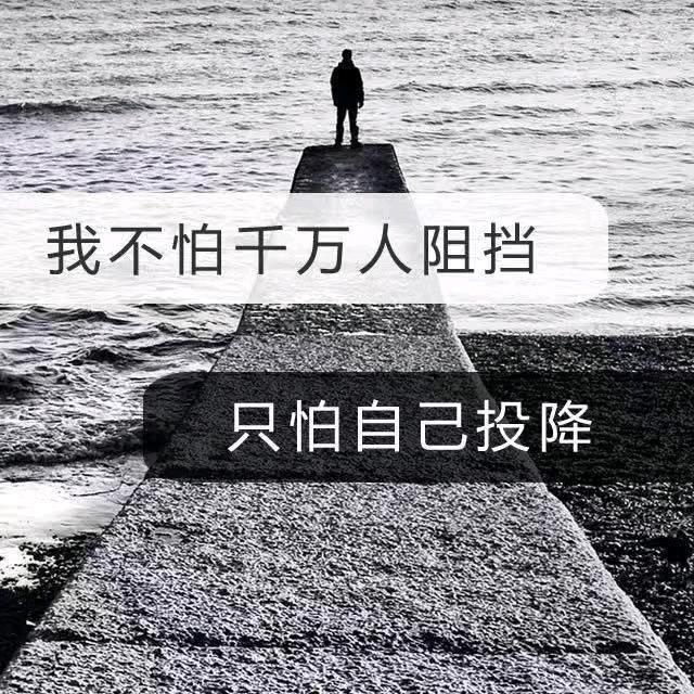@狗蛋来了