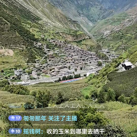 塞北迎春