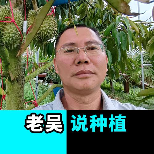 老吴说种植-根力多