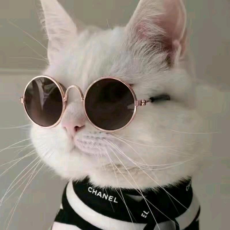 知心哥哥🍑           ╲