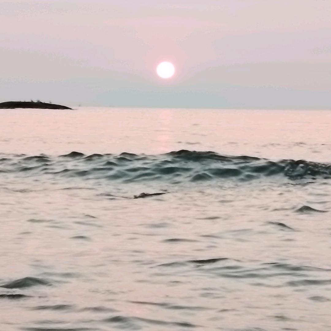 怀瑾握瑜