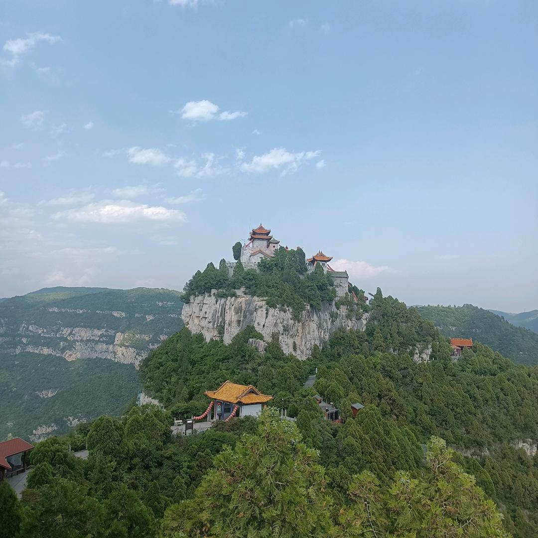 果蔬苗木供应链