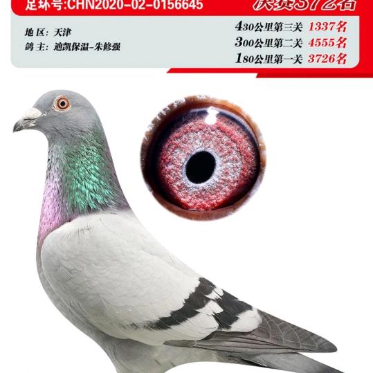 仨仟惊