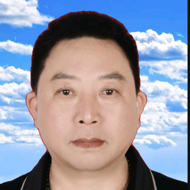 金柏雄鹰