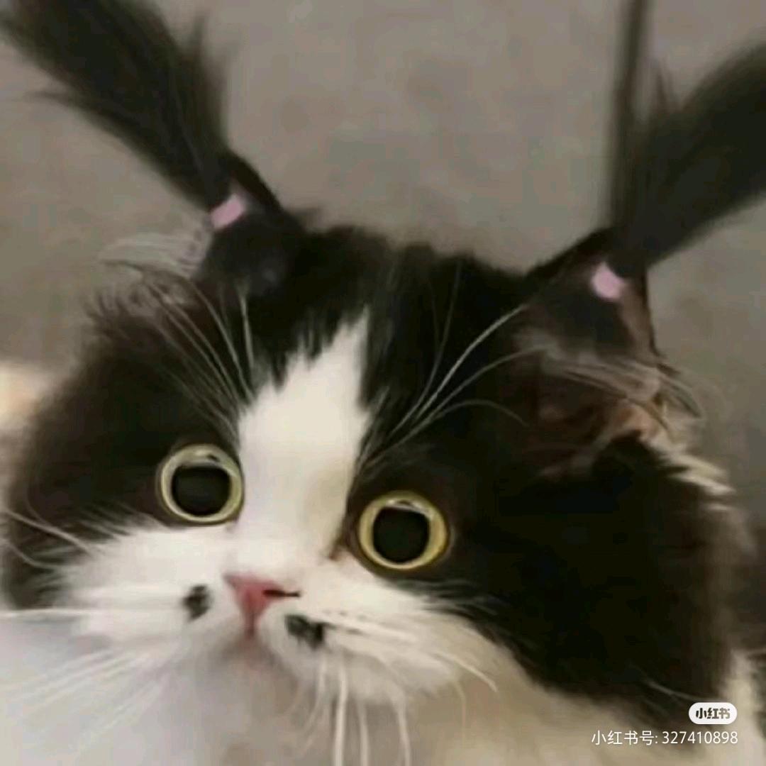 🎀甜虔