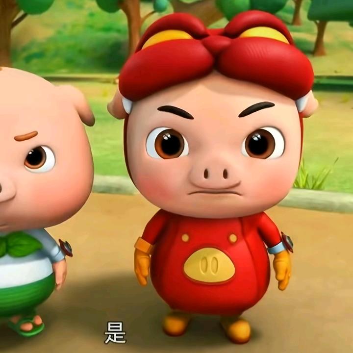 晴的生活记录