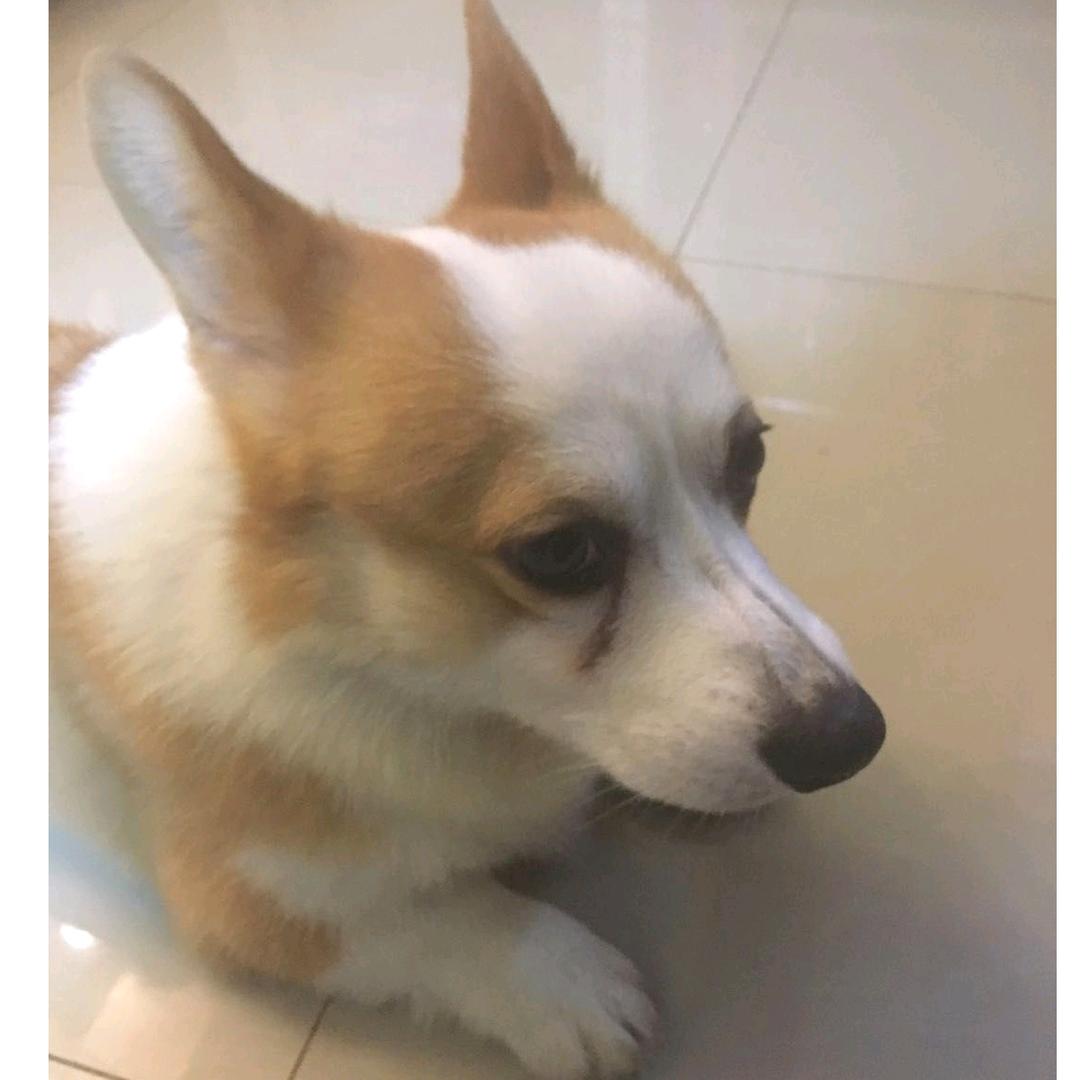 快乐有约：