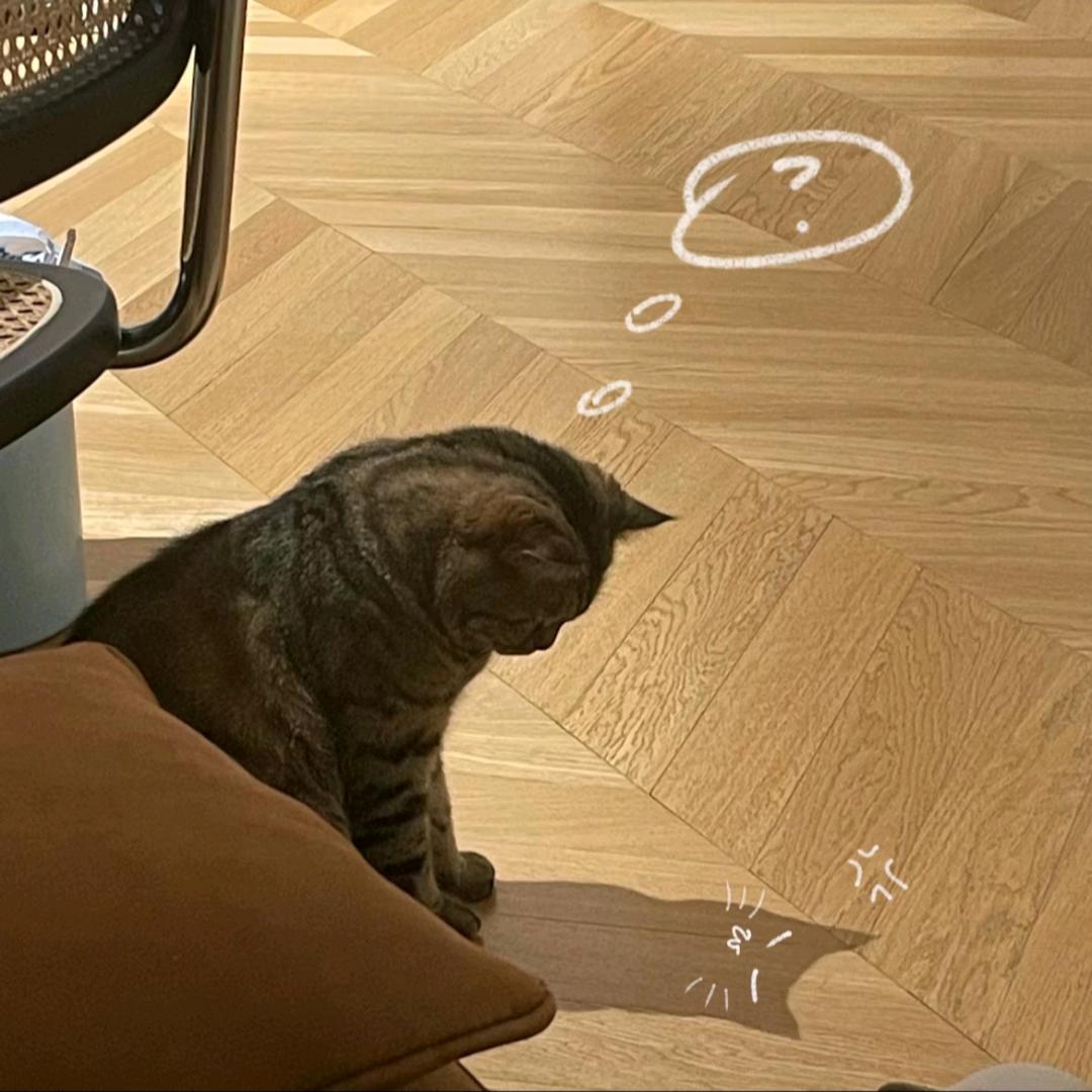 *株籁.