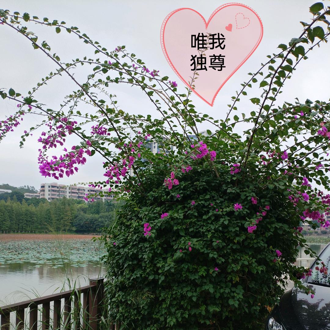 仙妮康养站