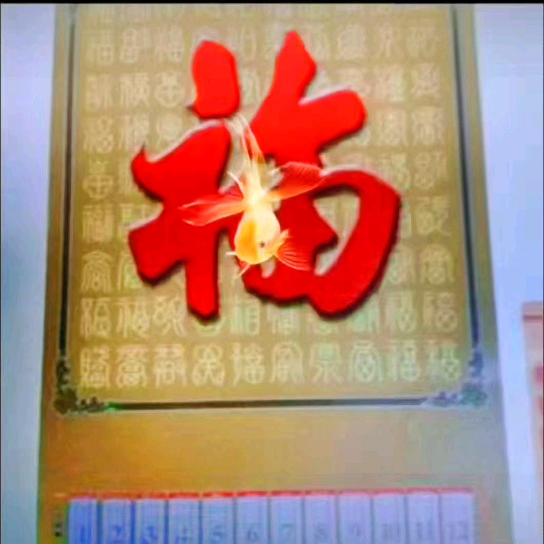 天天yyds