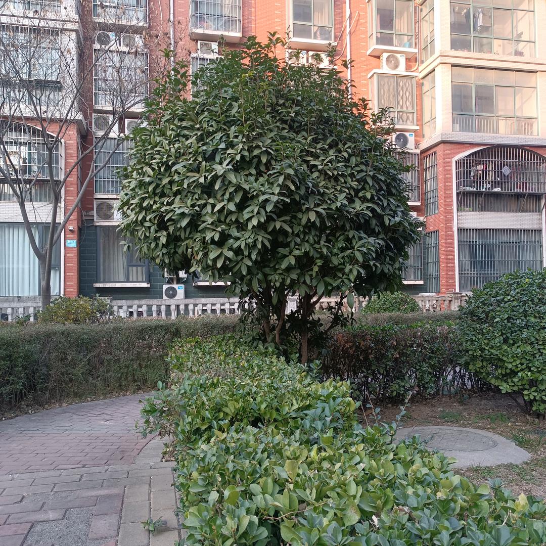 永远的思念