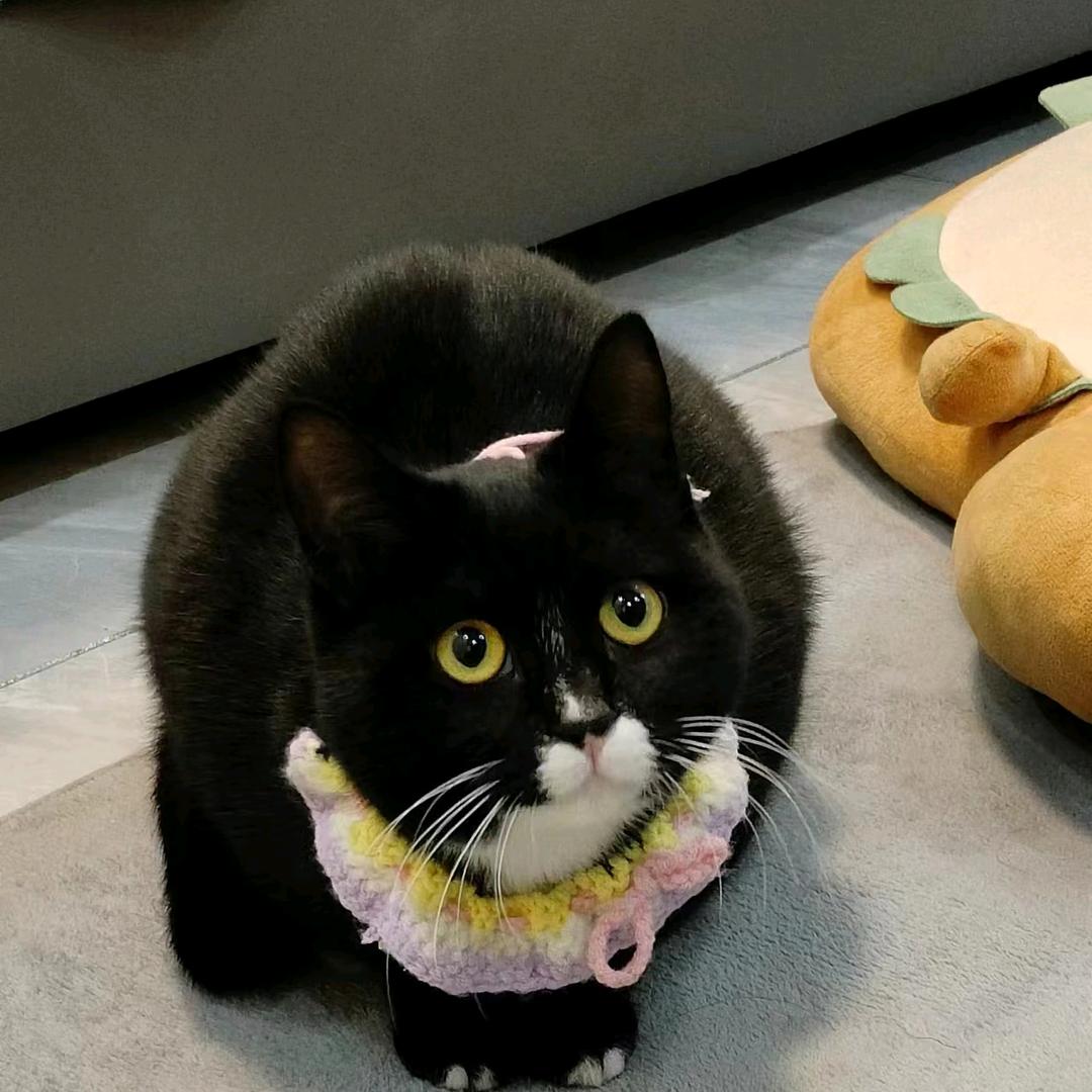 临沂市兰山区正德手机销售商行