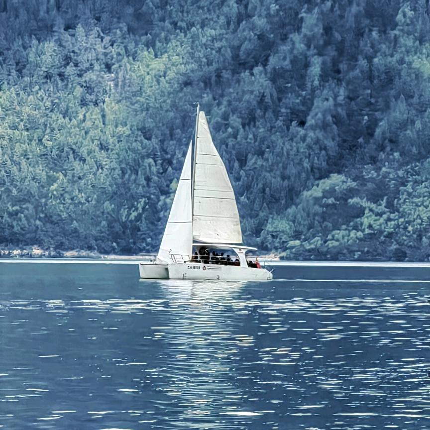 ⛵️帆船荡漾