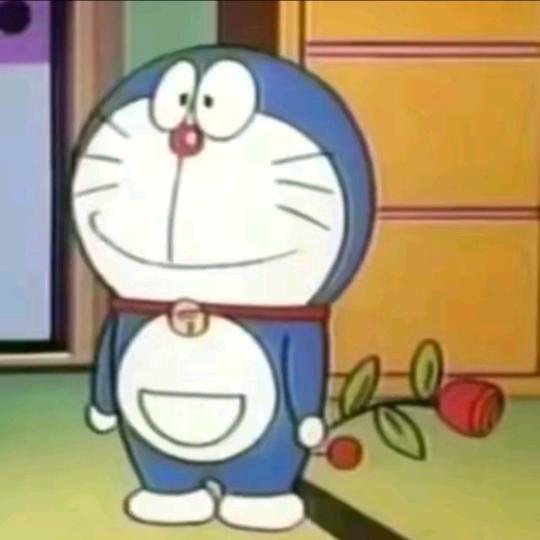 三角洲指挥官-猫