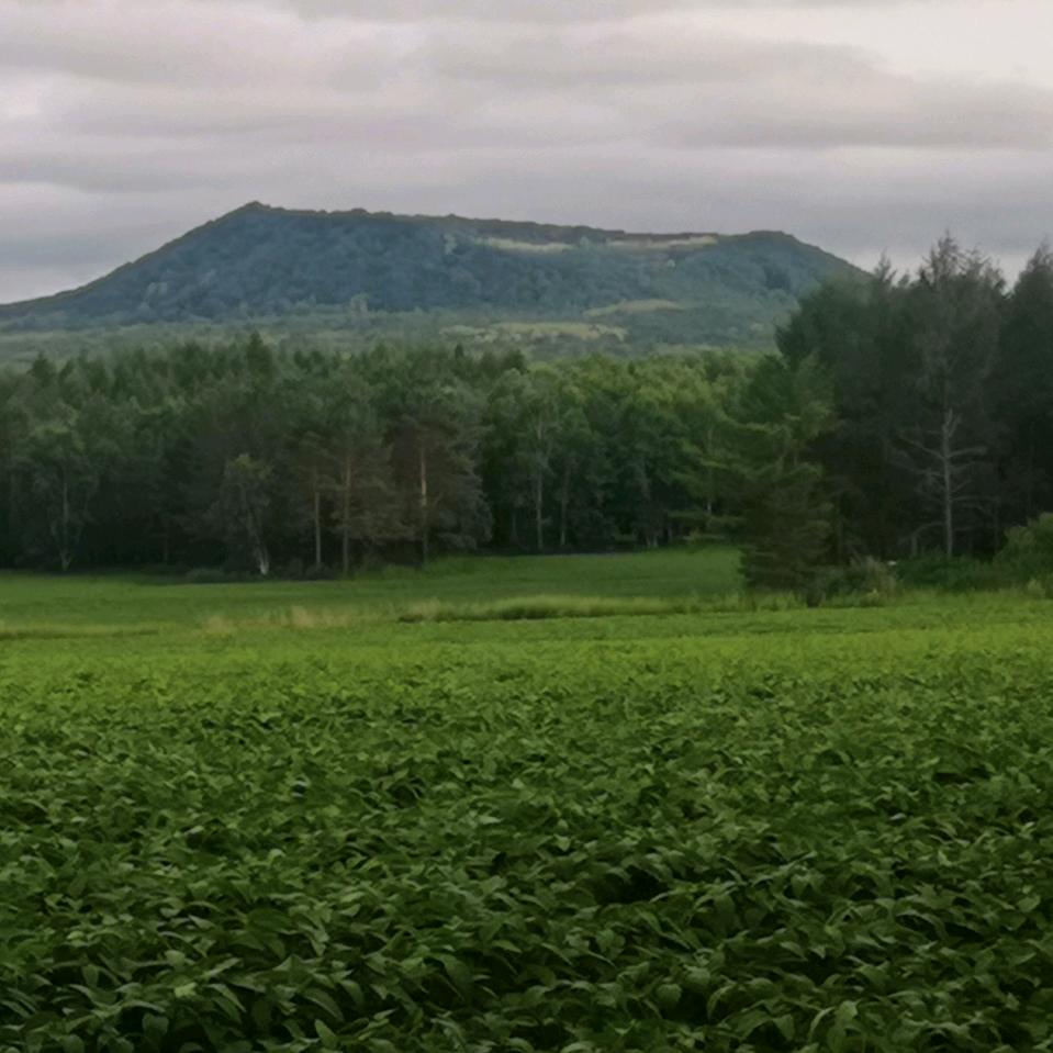 用户尾山
