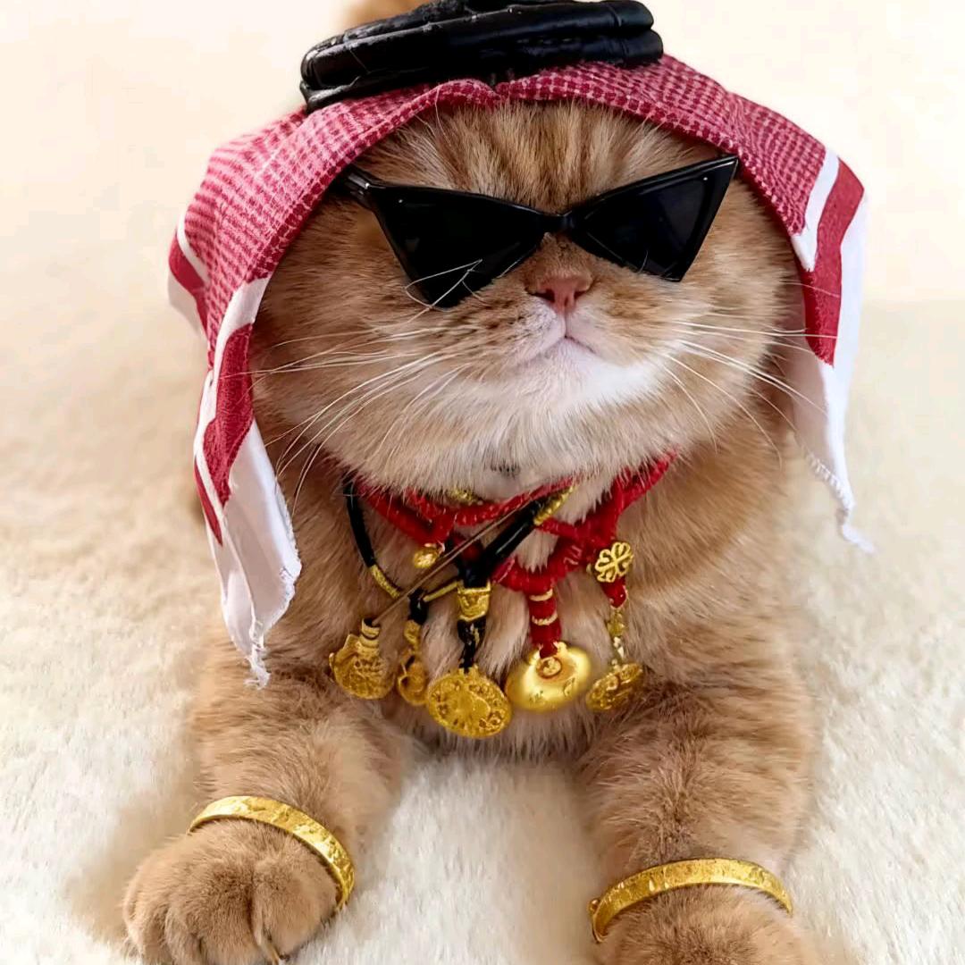 洒落漫天的回忆