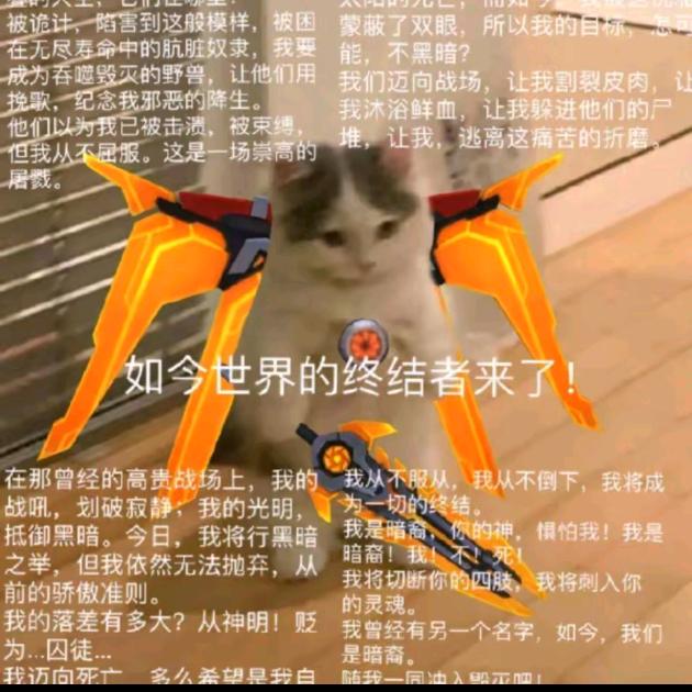 山炮z