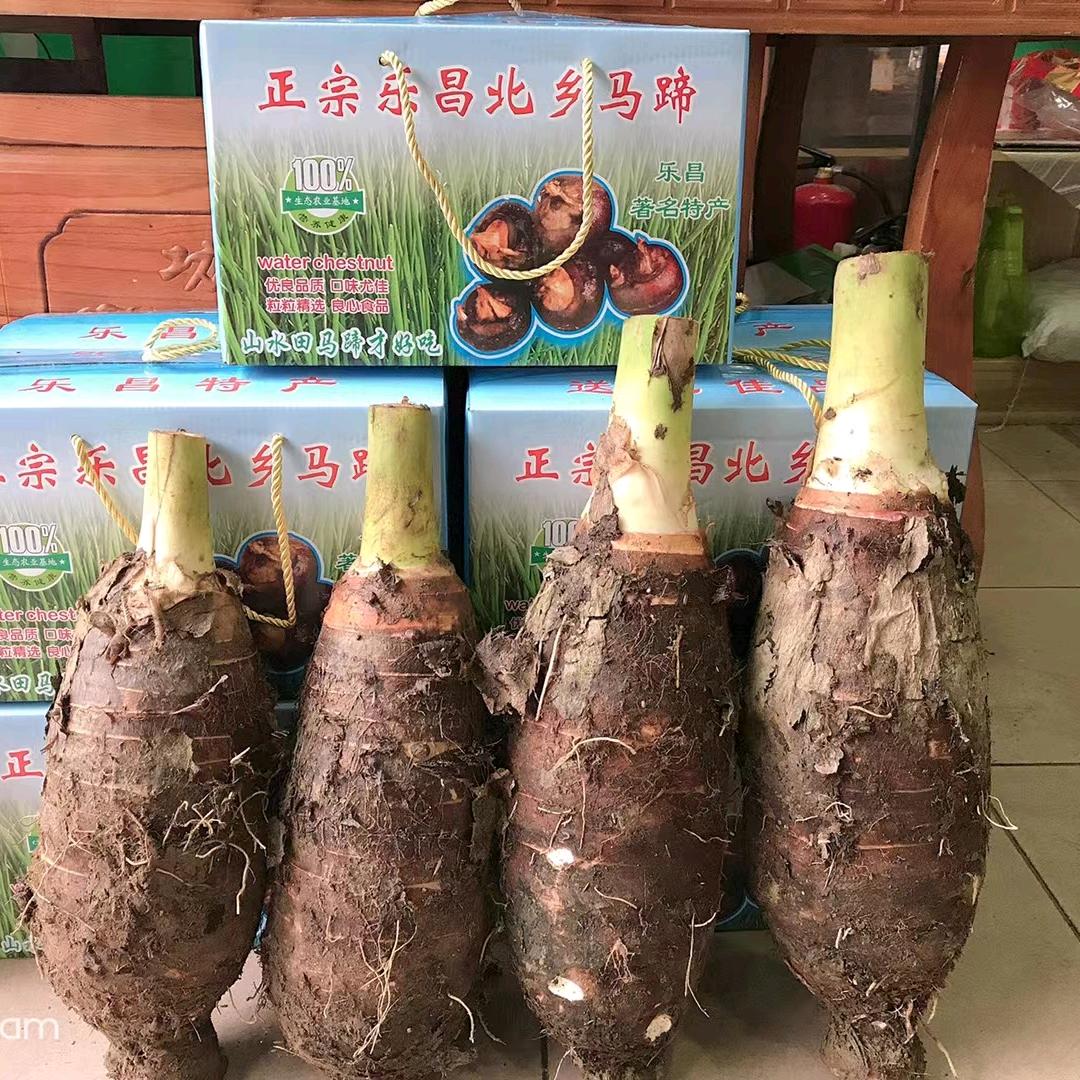 天天开心小吴