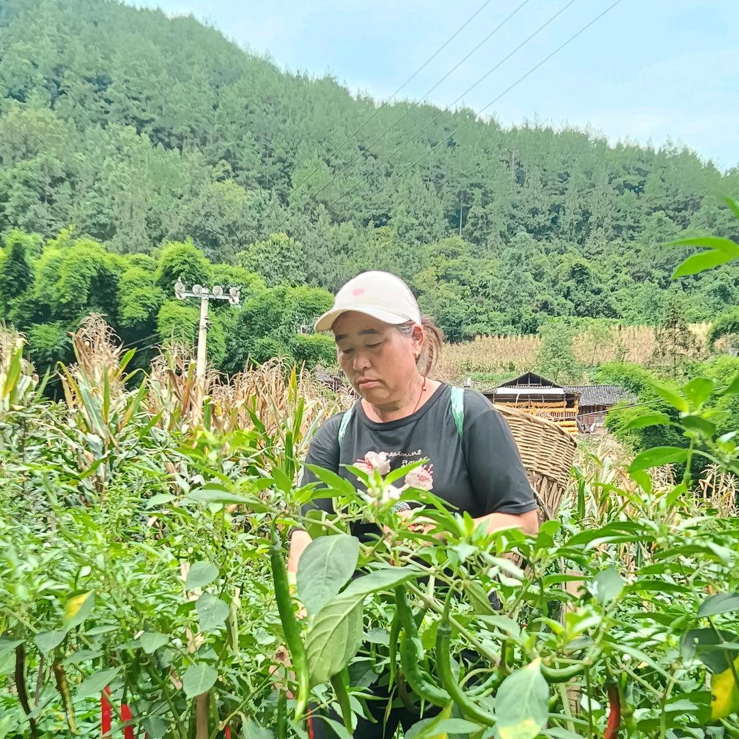农村念念不忘‘。🌹🌹🌹