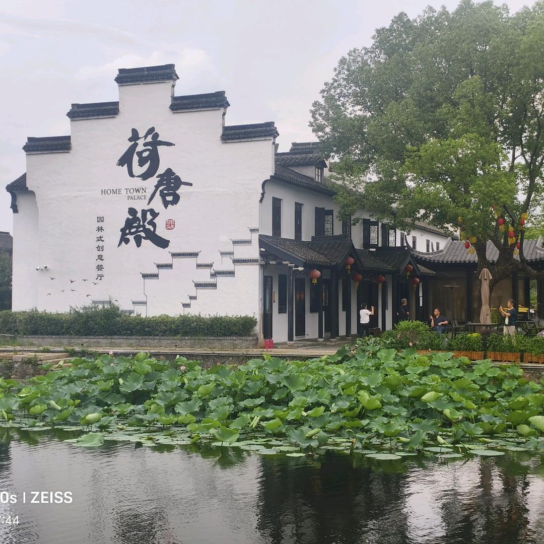 柠檬羽绒-柠檬