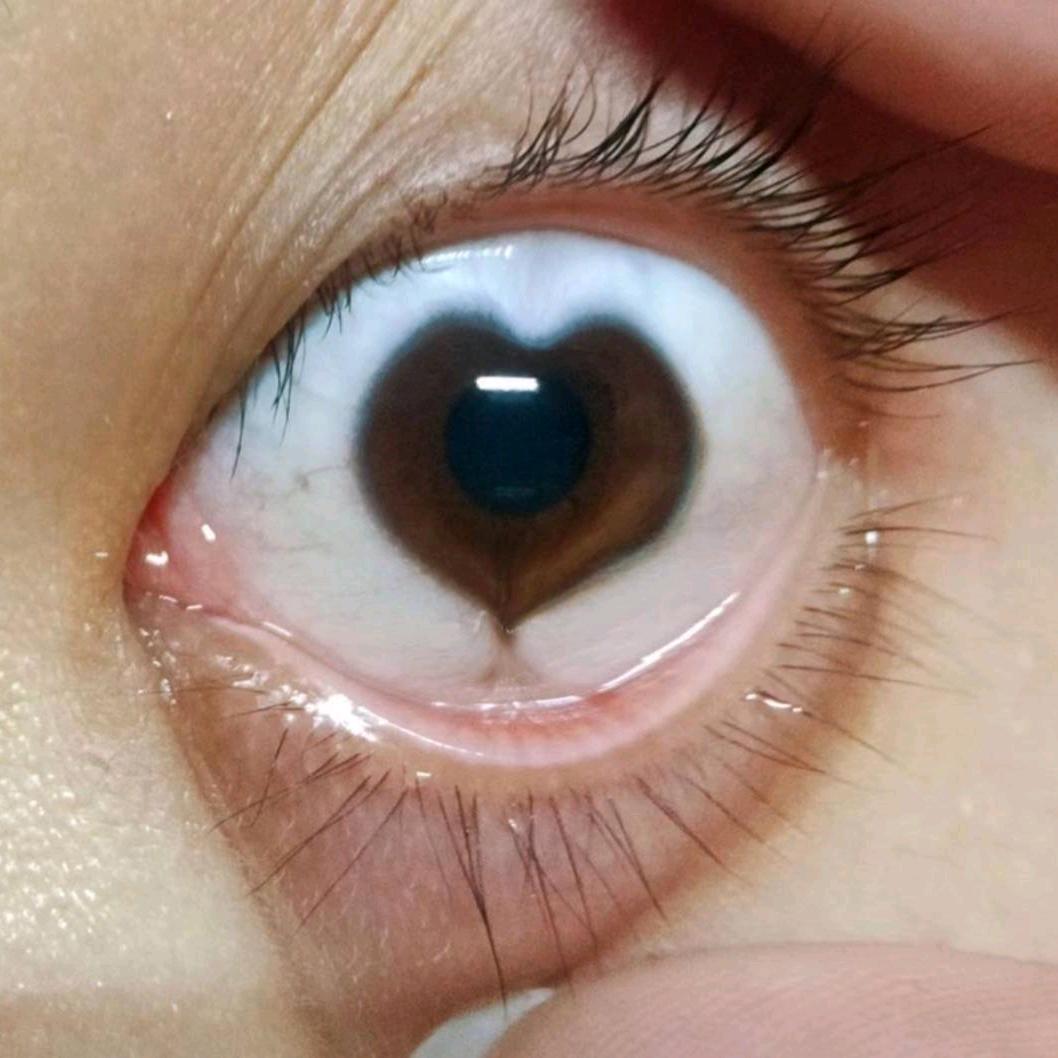 真的会玩智能手机