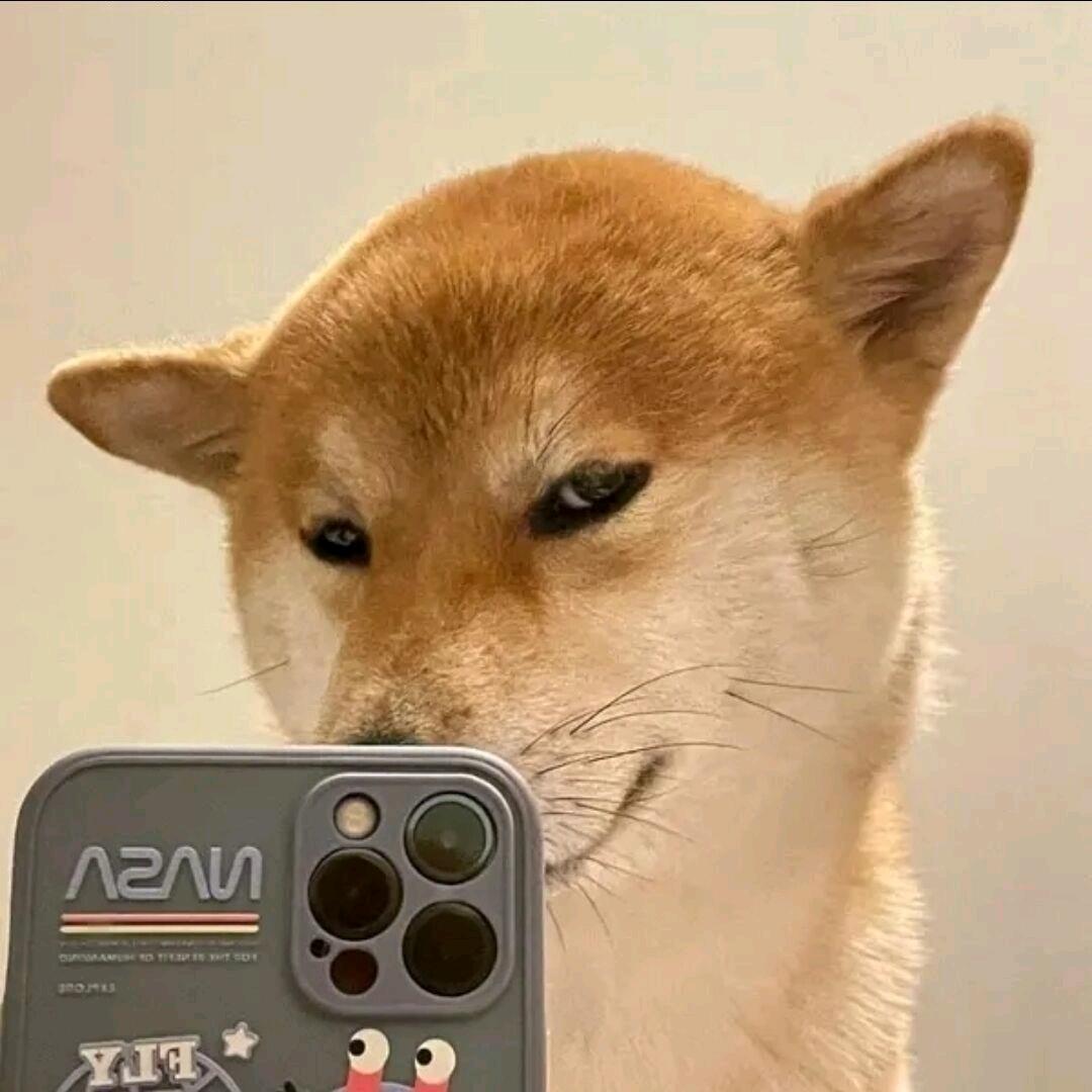 蜗牛啊