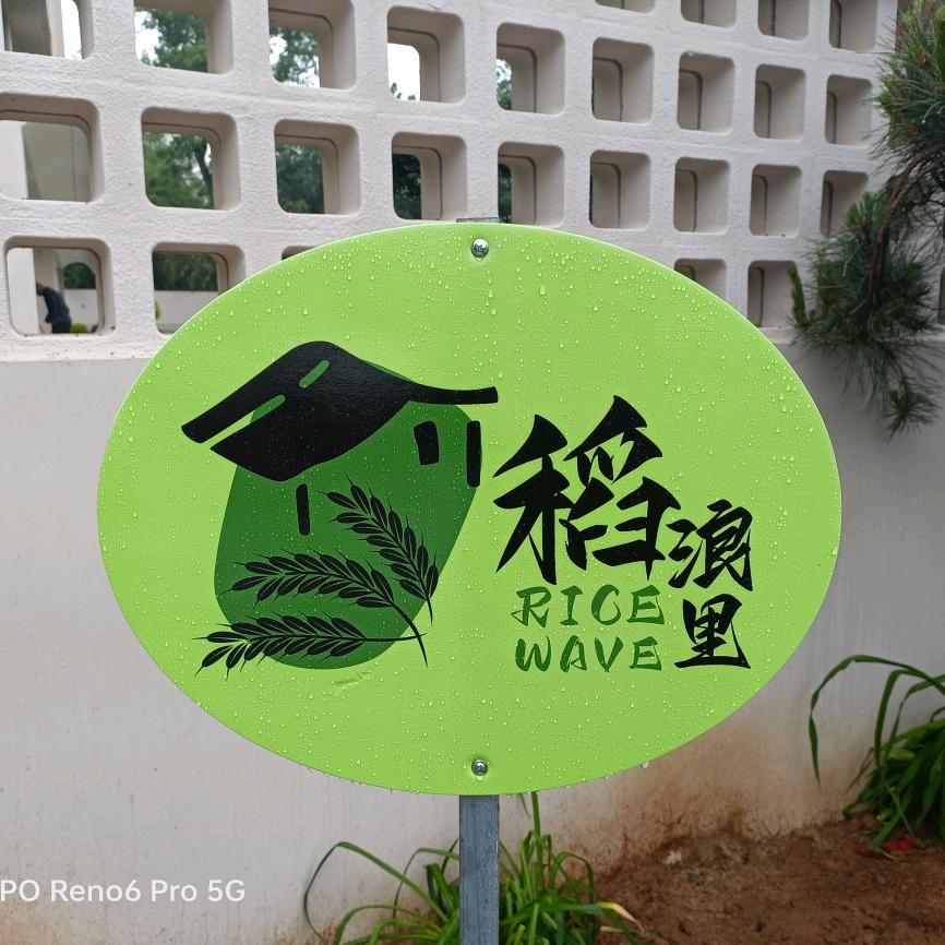 稻浪里民宿