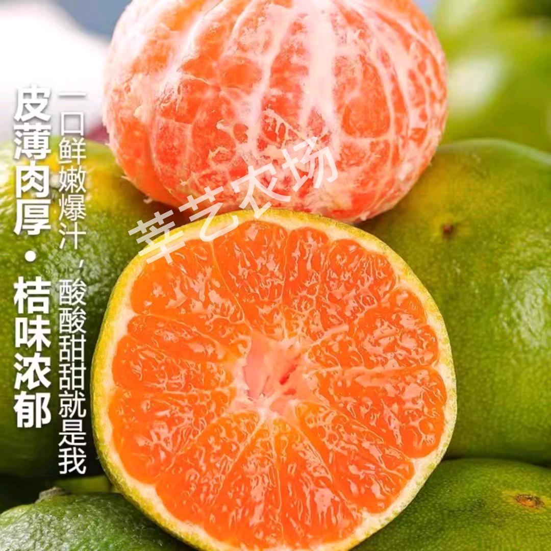 涌泉蜜桔-果农小王