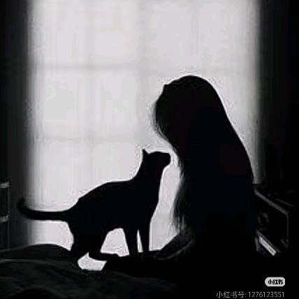 白茶一世清欢ʚ七ɞ🎀