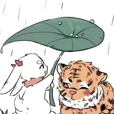 疯狂的杂货铺（橱窗有好物喜欢就带走吧）