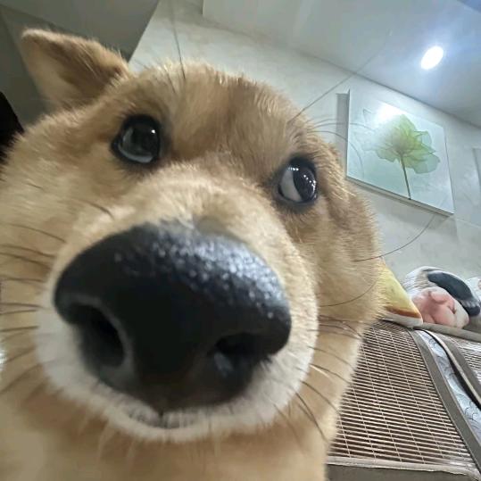 贰拾叁💫
