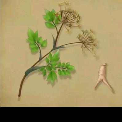 百草中药