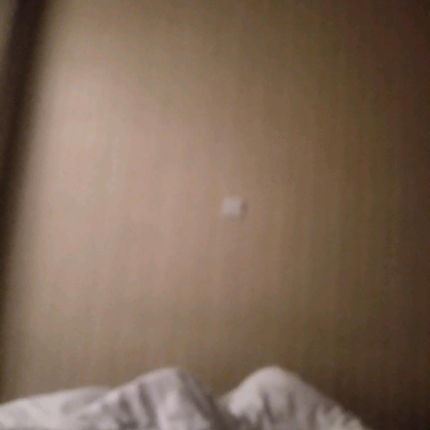 色彩558