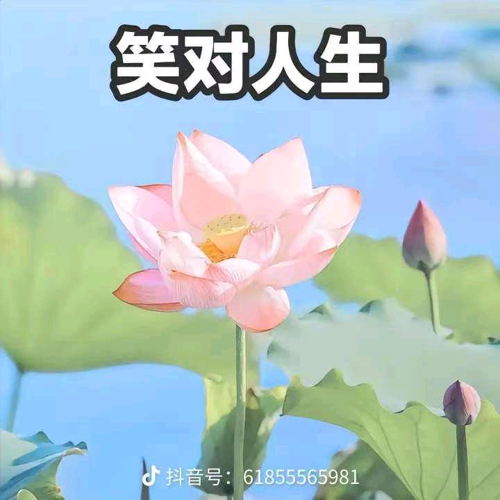 笑看人生我是谁