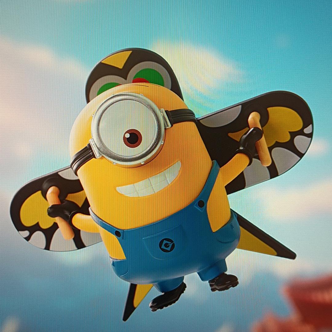 南方最高小黃豆