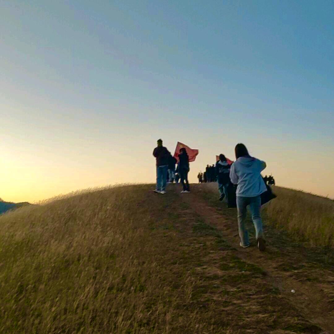 迎仙雾🌫️📷