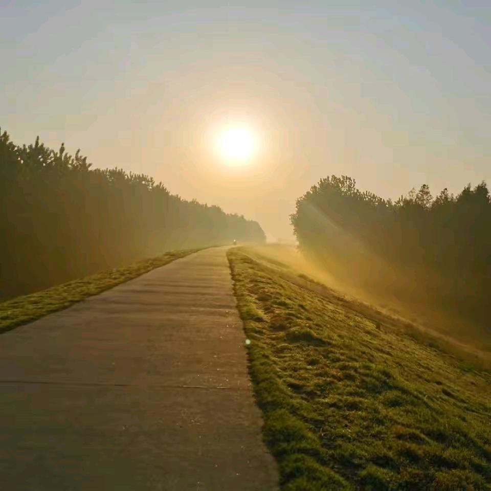 诗与远方👩‍❤️‍👨