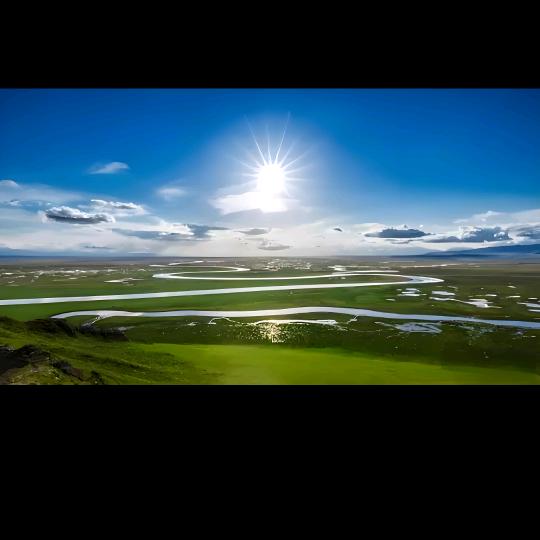 巴音布鲁克马氏花婆婆