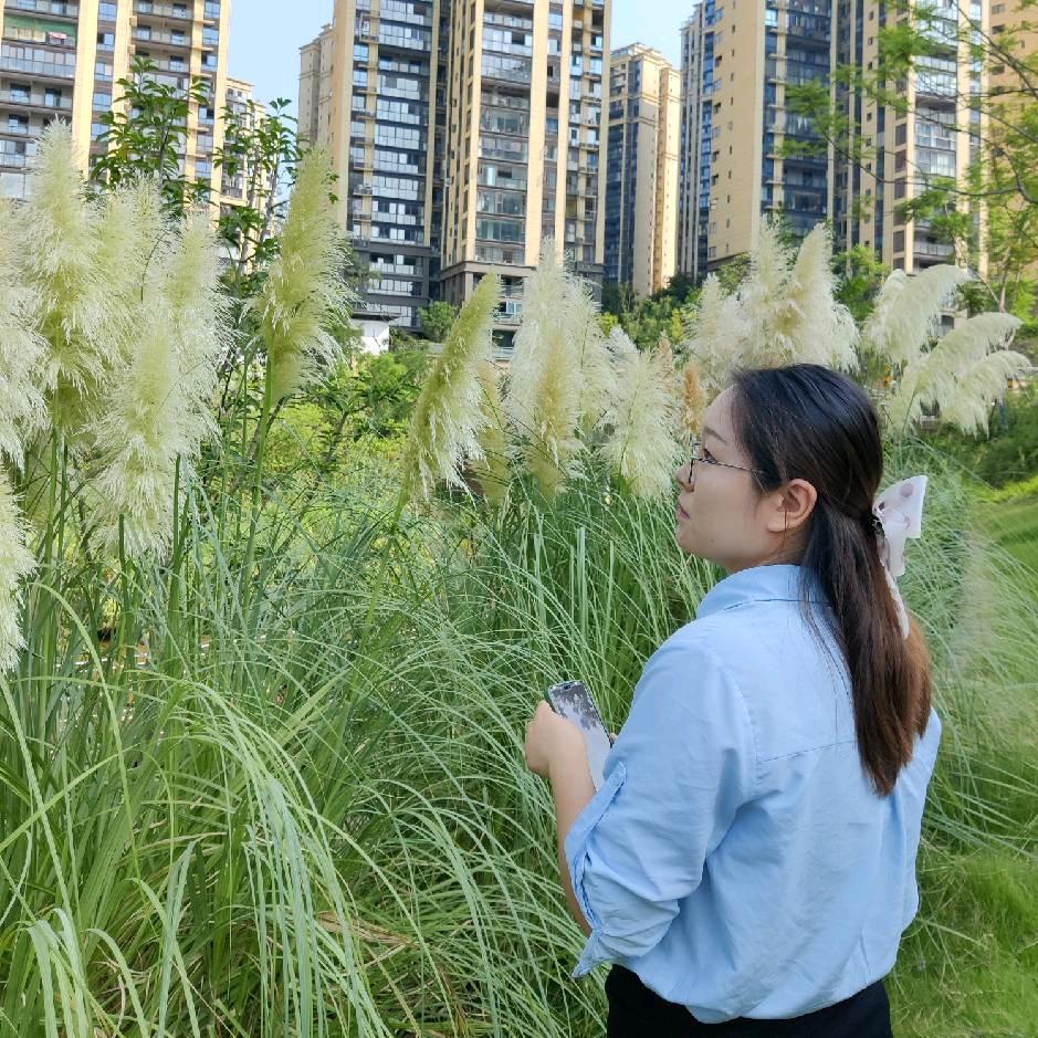 山茶花开在年糕里
