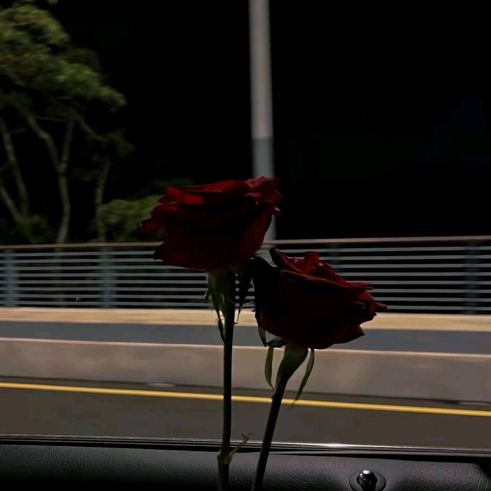 💞᪲ღ᭄心瞎爱错人ღ᭄